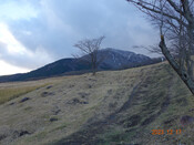 DSC01798(2) 雪化粧の鶴見岳.jpg